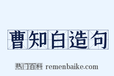 曹知白造句是什么意思的图片